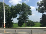 2017-09-12_12-45-55_3C54F6A0-5301-4527-8C23-187C57D88F05.jpg