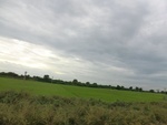 40726CIMG6697.JPG