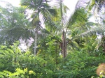 547611052008(46).JPG