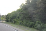 2022-06-12_15-25-16_4AD24F05-9D59-47DF-8951-0E43B92BC921.jpeg