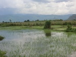 2012-09-07_09-49-14_CIMG6604.JPG