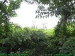 2385R0015318_tag.jpg