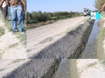 11431006-irrigated-wheat-sw-1c.jpg