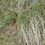 2017-05-29_15-00-14_39.951785, -105.032100_Ground.jpg