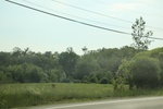 2022-06-11_16-04-27_D460BC5C-8494-4E28-9BF1-7DE98445F2F2.jpeg