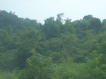 2012-09-08_19-26-14_RIMG0134.JPG