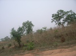 3887RIMG0191.JPG