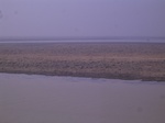 2690 015.jpg