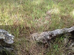 2012-10-04_13-59-50_CO-JF-157_0653.jpg