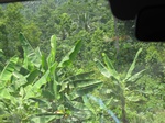 15836IMG_4376.JPG