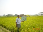 6643gt105-cropland-1.jpg