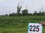 71440225a-rainfed-agriculture-mixedcrop-cotton-sorghum-gram.jpg
