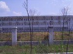 3623 191.jpg