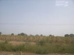 9086RIMG0166.JPG