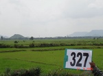 74850327c-irrigated-canal-rice-singlecrop.jpg