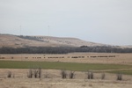 2017-05-07_17-00-23_2017-03-11 09.39.01.jpg
