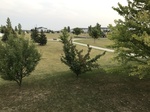 2017-09-13_07-32-02_72946CBD-FCF6-4B7F-8BCC-F2A1CF133448.jpg