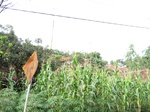 16246IMG_5019.JPG