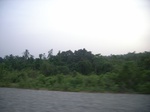 4088RIMG0393.JPG