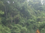 2012-09-08_19-26-13_RIMG0076.JPG