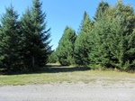 2012-09-28_22-29-21_ME-AR-4-North.JPG