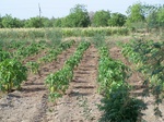 1770022042008(79).JPG