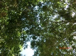 2012-10-02_19-37-36_CIMG0053.JPG