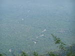 17607100_2545.JPG