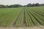 2022-05-26_14-05-25_88147E0A-9177-424A-81F7-C0948F4B7343.jpeg