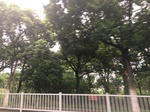 2017-09-10_20-39-09_035E1782-CD38-493A-B7C4-74BF3F5382B3.jpg