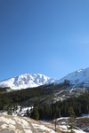 2022-01-19_14-01-31_4E8A1559.JPG