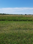 2017-07-03_13-48-55_FacingSouth.jpg