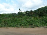 18327P1000163.JPG