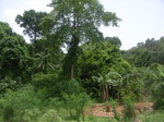 3747RIMG0051.JPG