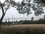2017-09-12_03-31-28_06C05F51-3AC8-44B0-9A4C-B42E1501B3C7.jpg