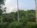 2017-11-15_20-04-32_img2126003460.jpg