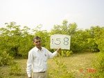 6717gt158-shrubland-1.jpg