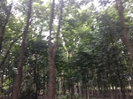 2017-09-11_22-15-39_B51B94F7-DEE4-4383-8E9F-7BCDAC58EA8F.jpg