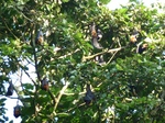 2012-10-17_20-32-18_400.JPG