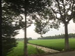 2017-09-12_03-35-52_48C5CC61-1599-4CBE-AC03-C7F54F6BA7F8.jpg