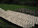 16291IMG_5064.JPG