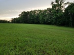 2017-06-12_18-07-58_20170605_201521.jpg