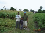 73250279d-rainfed-agriculture-mixedcrop-cotton-dominant-sorghum-soyabean.jpg