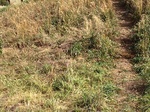 2012-10-04_13-59-50_CO-JF-157_0671.jpg