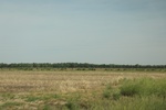 2022-06-11_15-46-12_748F6067-6C11-4C76-BAEC-E1C7D84E57F5.jpeg