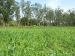 19698P1010547.JPG