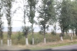 2019-10-15_12-00-06_4E8A1898.JPG