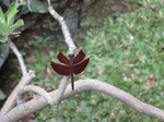 14982IMG_5377.JPG