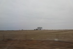 2018-04-30_12-29-04_2017-12-28 11.44.21.jpg