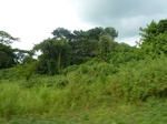 19852P1010702.JPG